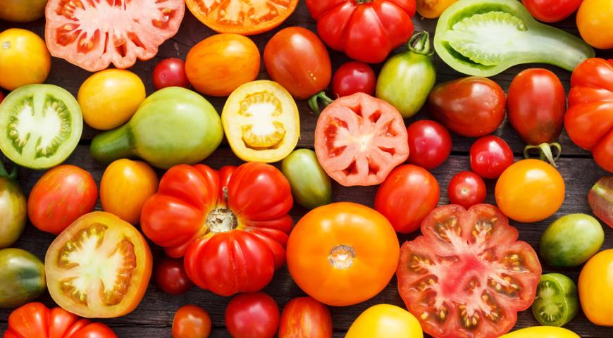 В Украине резко сократился экспорт томатов – аналитики компании Pro-Consulting. Delo.ua